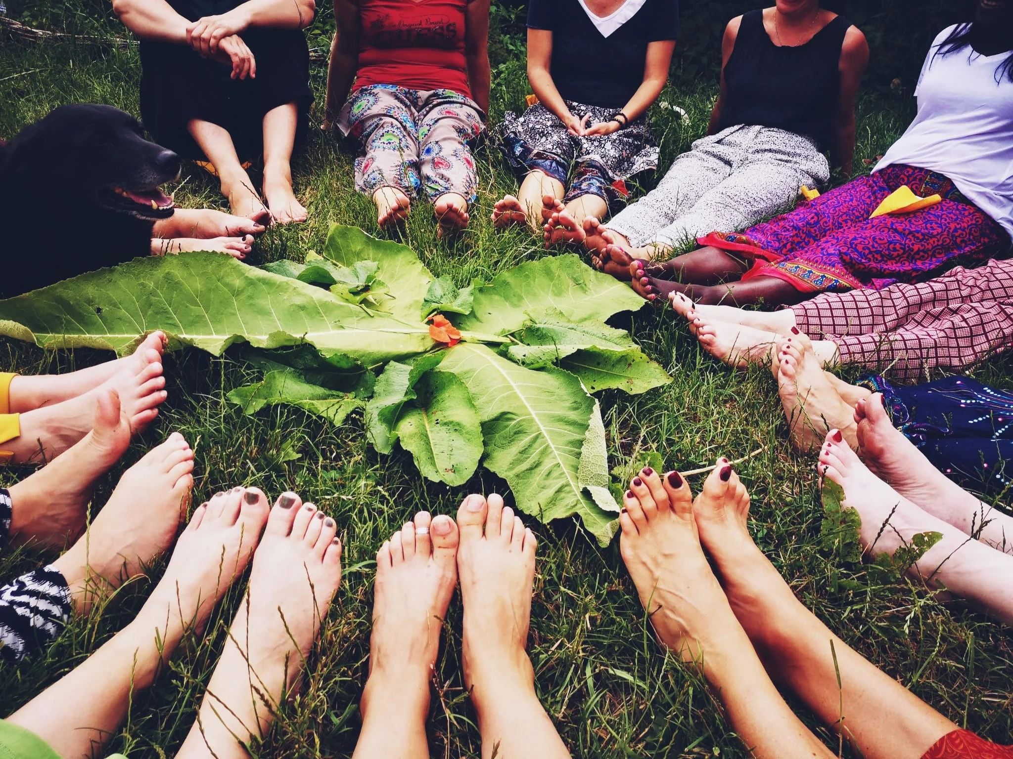 Femmes assises en cercle, les pieds au centre garni de plantes lors de la célébration de Litha. Le chien de la maison s'est joint ce moment.