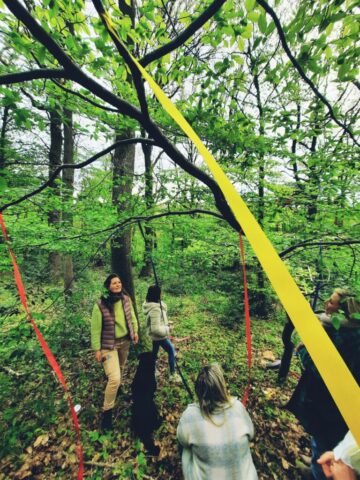 Rubans colorés suspendus aux arbres dans un bois